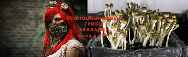ALPHA-PVP Покров